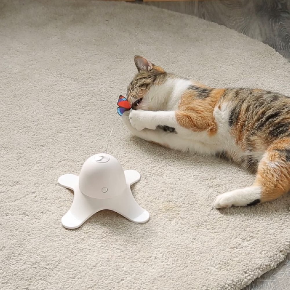 automatic cat toy reddit