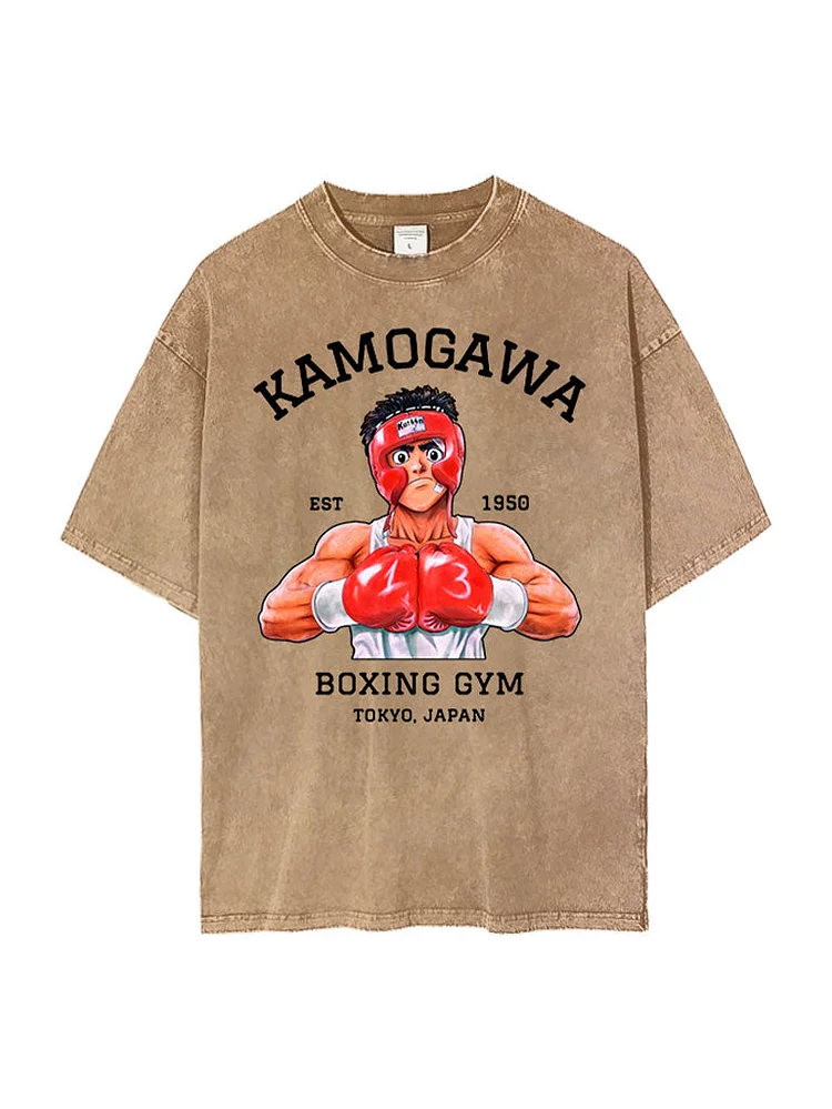 Ippo Spar Vintage Tee