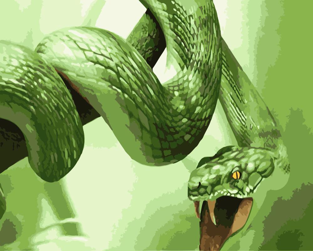 

King Cobra Snake – Paint By Numbers - 40*50CM, 501 Original