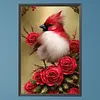 Diamond Painting -DIY Round Partial AB Drill Cardinal(45x65cm)