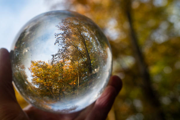 8 Crystals to Help You Recharge This Autumn