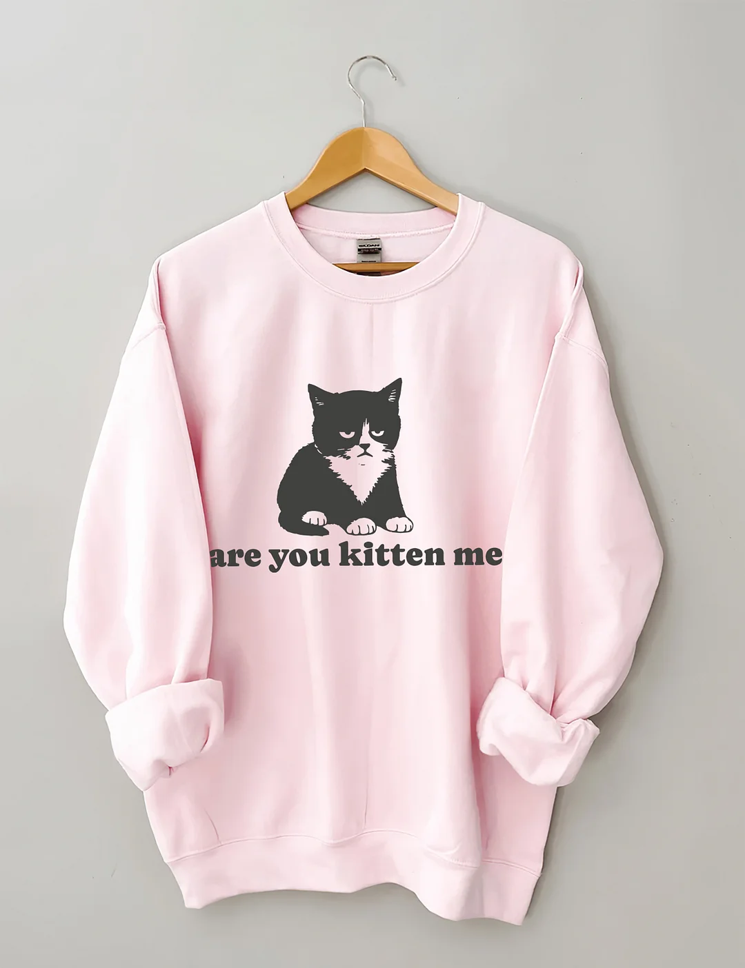 Are You Kitten Me Sweatshirt
