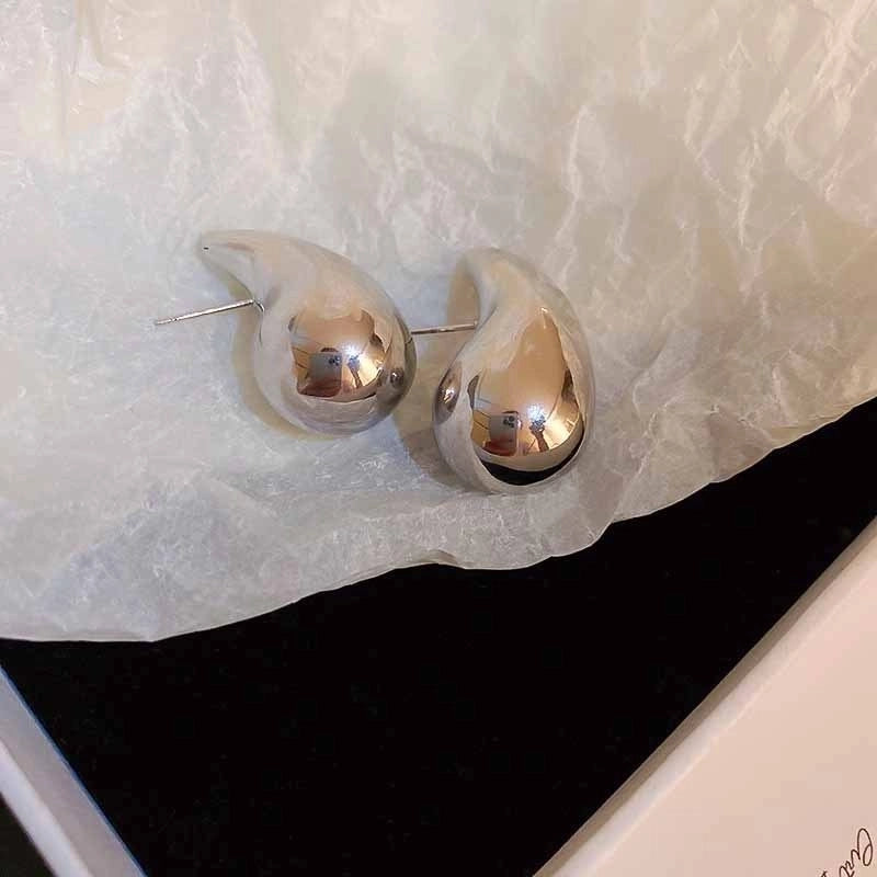 Silver Needle  Exaggerated Lovely Earrings Light Luxury High-grade Niche Earrings Fashion Metal Temperament Earrings For Women