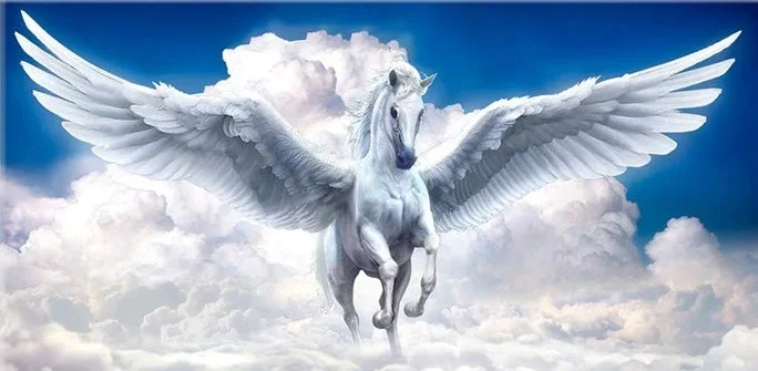  Angel Horse 40*80CM (Canvas)AB Round Drill Diamond Painting gbfke