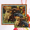 Three Dog - 14CT Counted Cross Stitch 48*40cm/18.9*15.75in