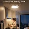 Rechargeable Motion Sensor Ceiling Light with Remote Operated Ceiling Lights Indoor
