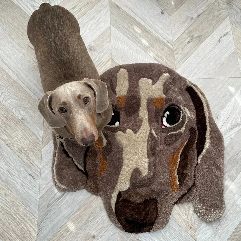 Custom Pet Portrait Rug