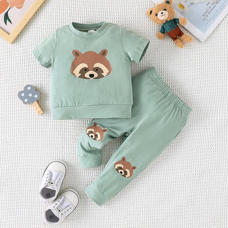 Baby Raccoon Tee and Pants set