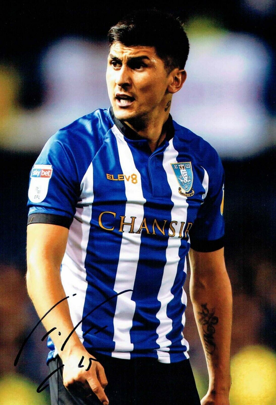 Fernando FORESTIERI Sheffield Wednesday SWFC SIGNED 12x8 Photo Poster painting 2 AFTAL COA