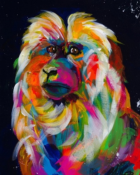 

Colorful Macaques – Paint By Numbers - 40*50CM, 501 Original