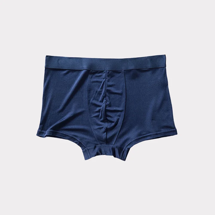 Soie Plus Boxer en soie respirants en soie sous-vêtements homme