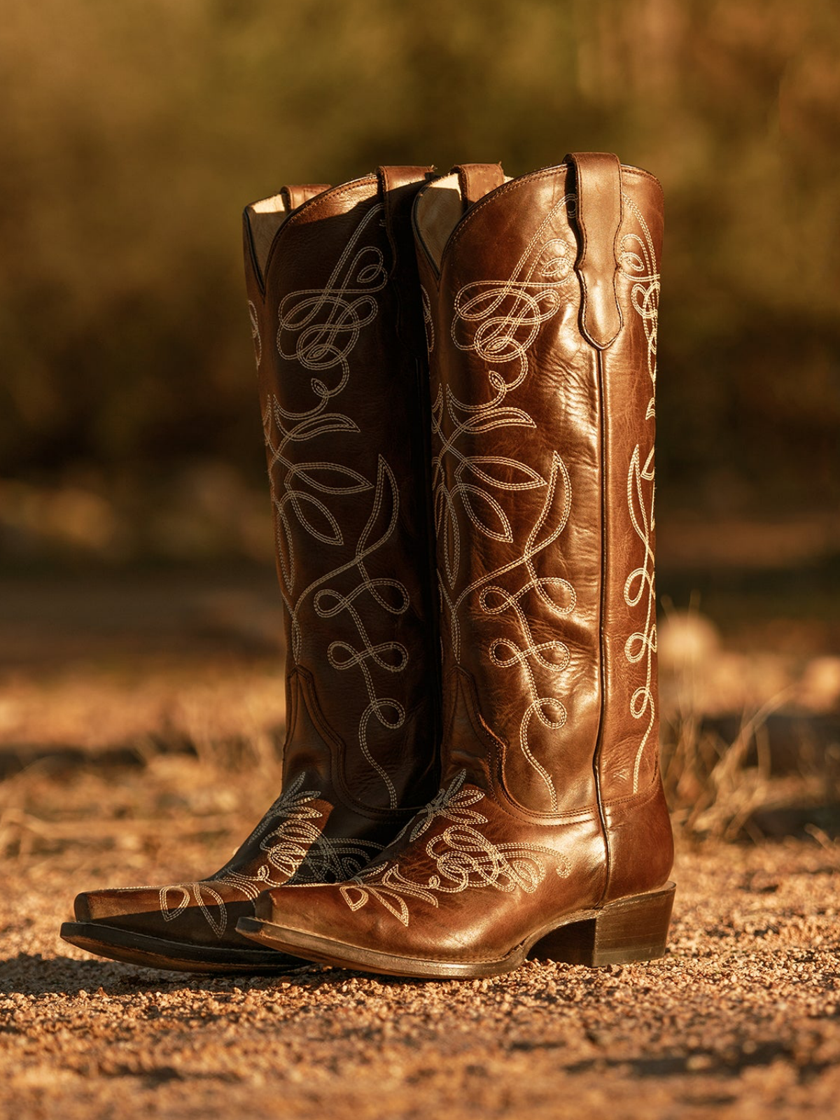Taafo Brown Snip-Toe Coiling Embroidery Wide Mid Calf Tall Cowgirl Boots