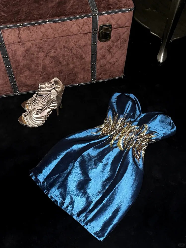 Blue Vintage Homecoming Dress Short Prom Dress Party Dress