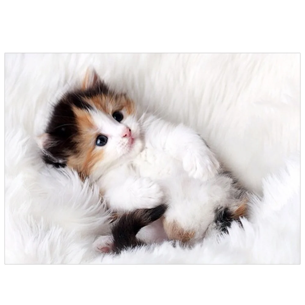 Round Diamond Painting 40*30cm - Cute Cat
