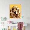 Painting By Numbers - DIY Dog(40*50cm)