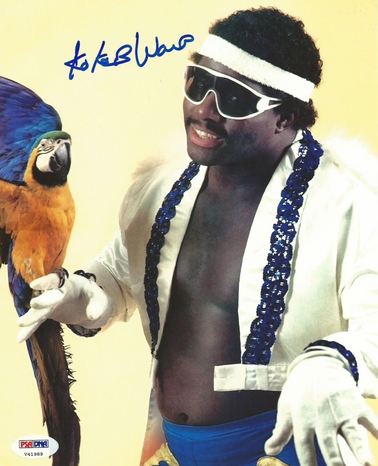 Koko B Ware Signed WWE 8x10 Photo Poster painting PSA/DNA COA Picture w/ Frankie Autograph WWF