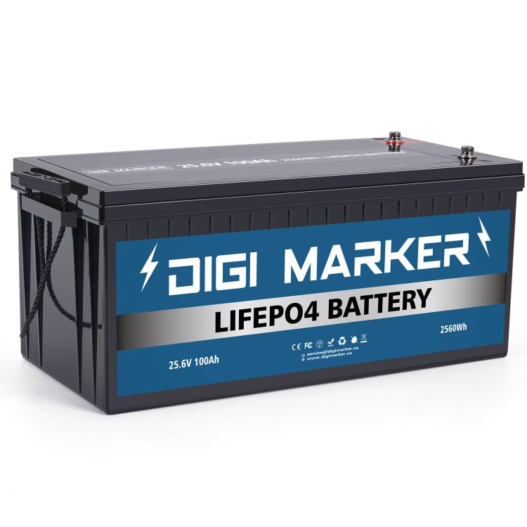 25.6V 100Ah LiFePO4 Battery 2560Wh - Digi Marker