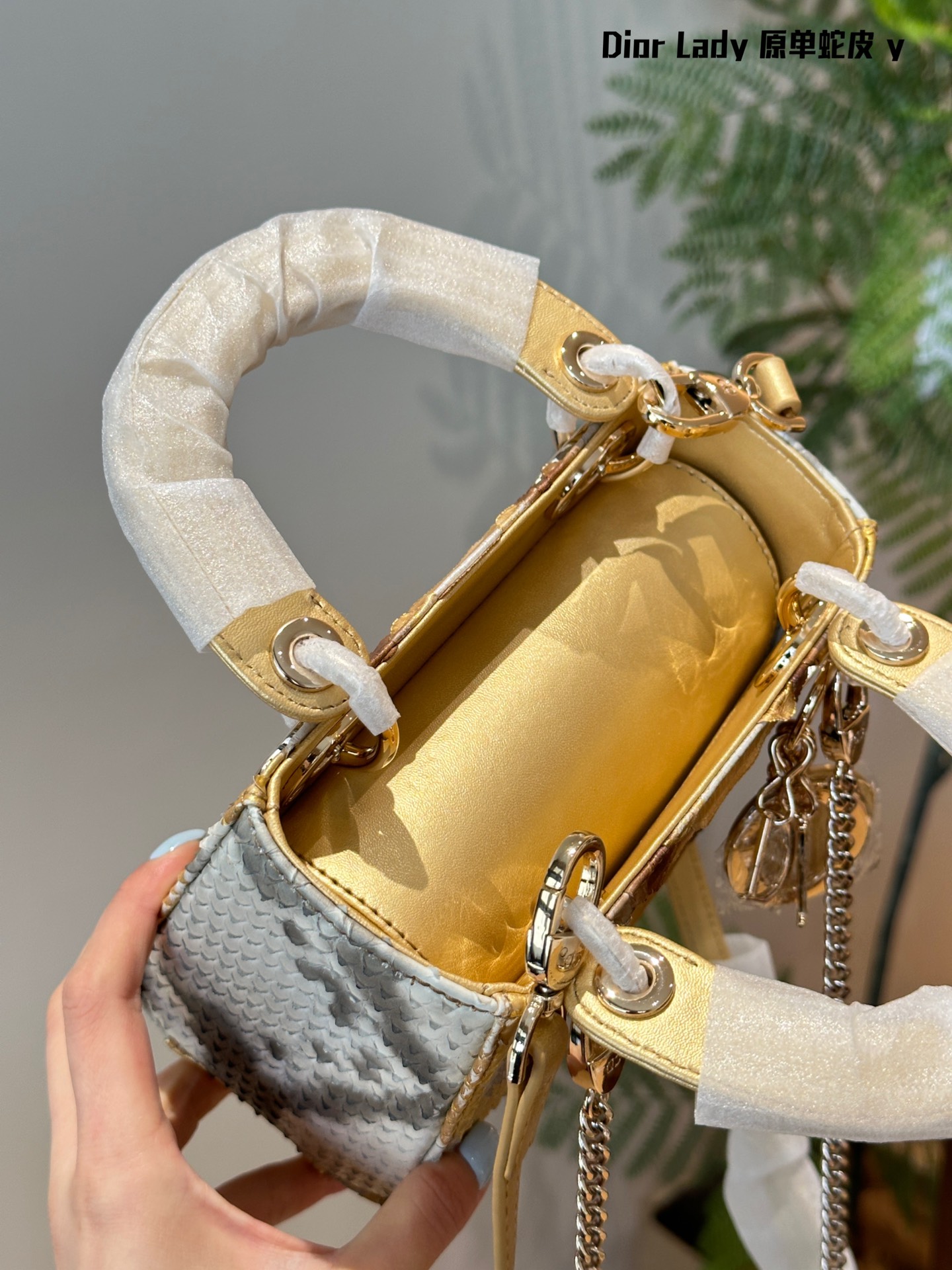 9b9c88f0bb2e65146acaecb32441a6dd