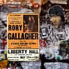 Rory Gallagher - Vintage Metal Signs - 20*30cm/30*40cm - Music