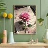 La Rose-Peinture Diamant Ronde Compl&egrave;te-40*50CM