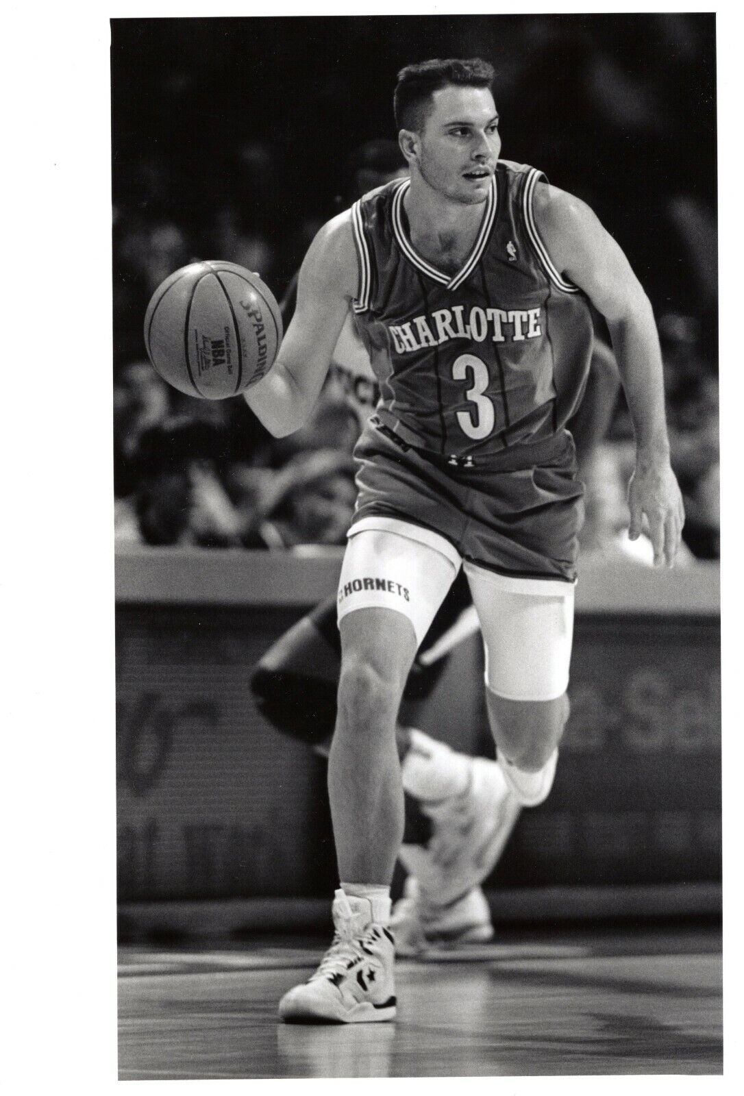 REX CHAPMAN Charlotte Hornets Basketball NBA 8x10 Promo Photo Poster painting 1991 Gary Weber