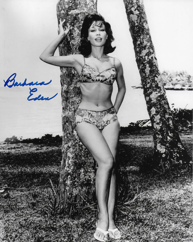 Barbara Eden I Dream of Jeannie 8x10 Photo Poster painting #35 signed at The Hollywood Show