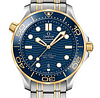 OMEGA Seamaster Diver 300 Co-Axial Master Chronometer 42mm O21020422003001