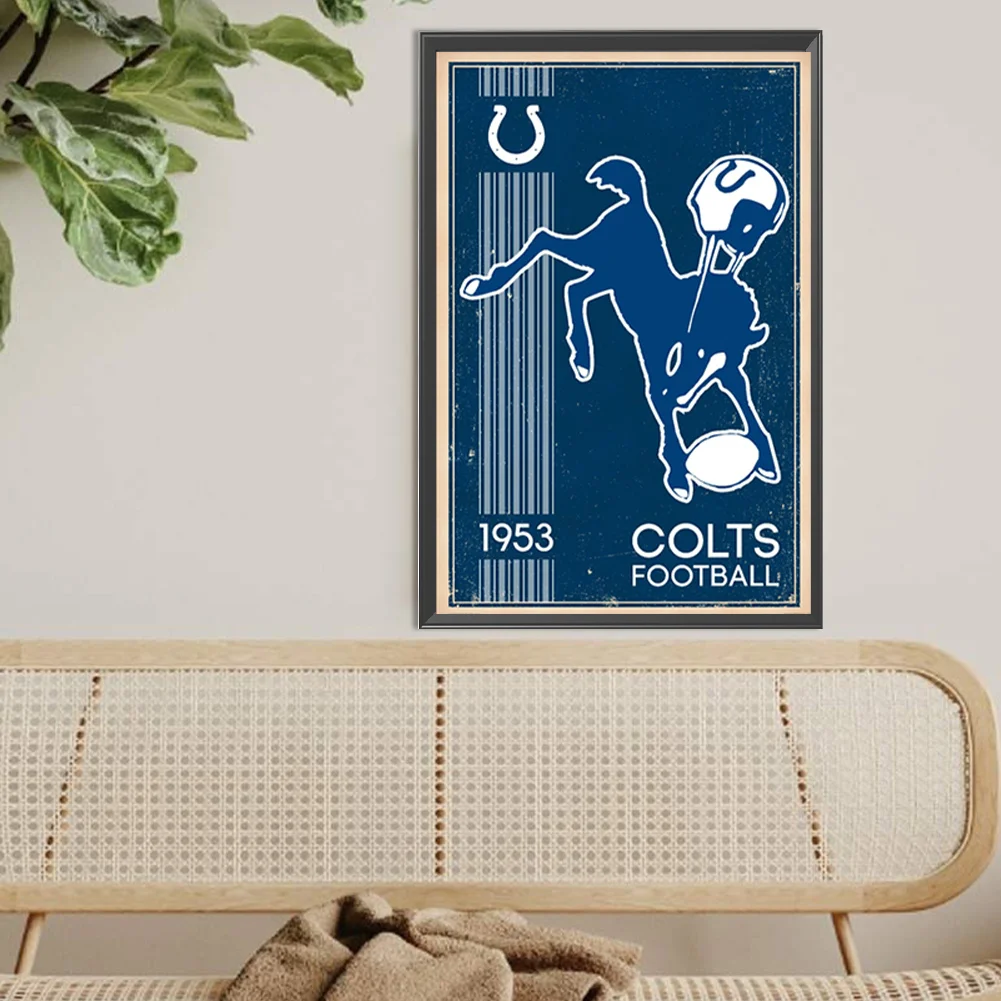 Diamond Painting - Full Round Drill - Indianapolis Colts(Canvas|30*45cm)
