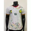 2026 Player Version Cameroon Soccer Jersey Away