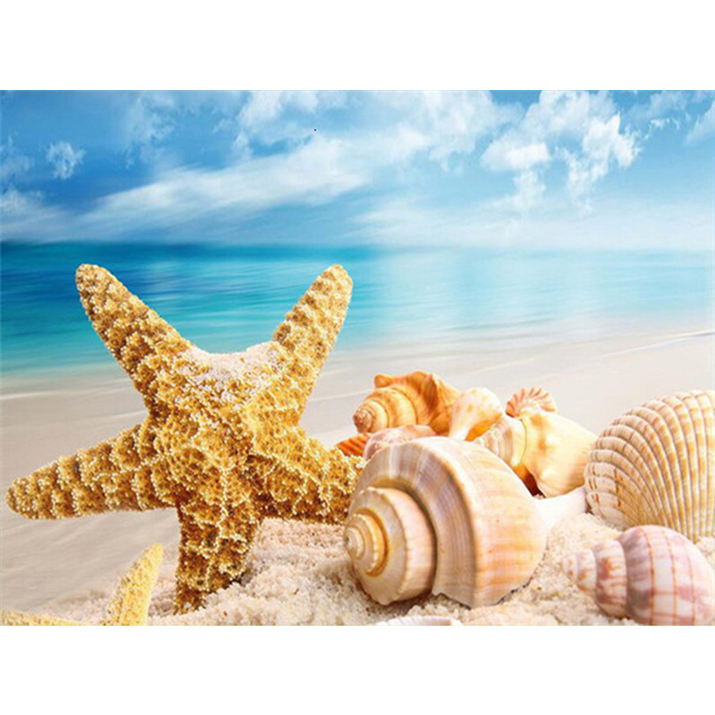 

Starfish Conch - Round Drill Diamond Painting - 40*30CM, 501 Original