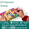 Owl Diamond Art Monthly Flip Tabletop Calendar January 2027 - December 2028 Small Desktop Calendar Planner 24 Months for Living Room Bedroom Office Desk Gift Giving