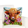 Yak-DIY Latch Hook Rug Pillowcase Kits 43*43cm tapestrymarket