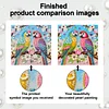 Two Birds Art Diamond Painting Kit for Adults Home Decor 25x25cm With Frame