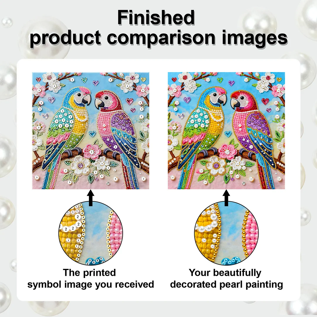 Two Birds Art Diamond Painting Kit for Adults Home Decor 25x25cm With Frame