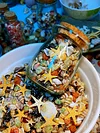 12 Kinds of Ultra-small Shells Conch + Starfish Abalone Shell + Glass Sand Collection Specimens