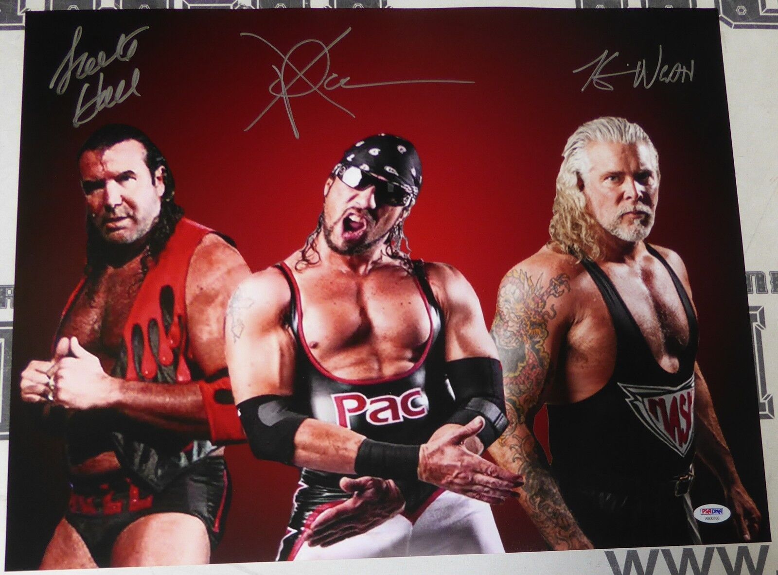 X-Pac Scott Hall Kevin Nash Signed WWE 16x20 Photo Poster painting PSA/DNA COA NWO Wolfpac Auto