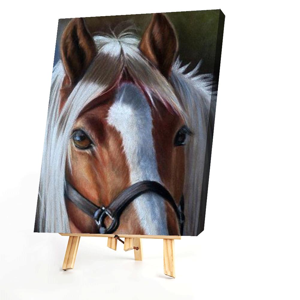 Horse - Painting By Numbers - 40*50cm