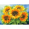 (US Only)Full Embroidery Beads Printed 11CT Sunflower Cross Stitch Kit Art Decor 65x50cm