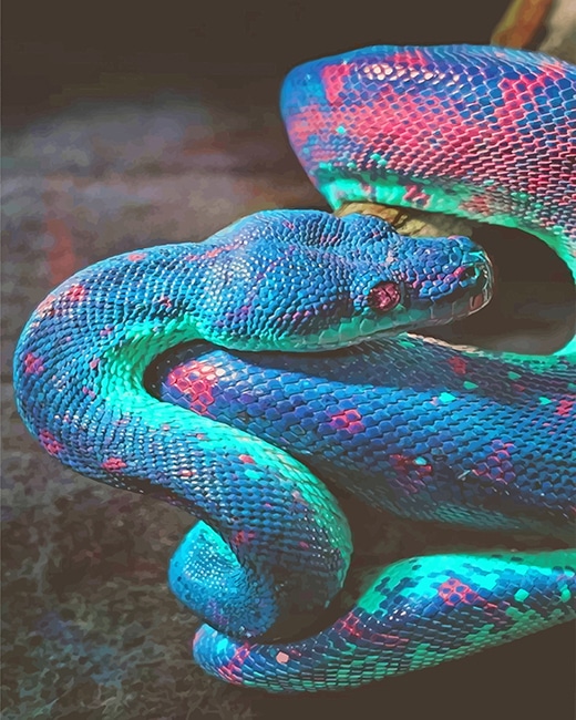 

Rainbow Shimmering Snake – Paint By Numbers - 40*50CM, 501 Original