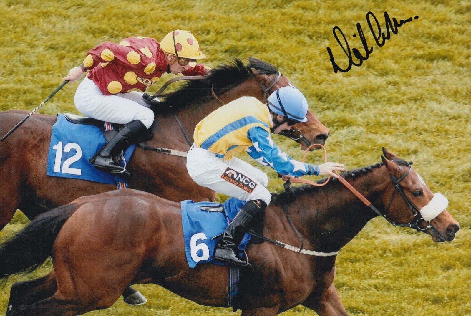 Neil Callan Hand Signed 12x8 Photo Poster painting - Horse Racing Autograph 1.