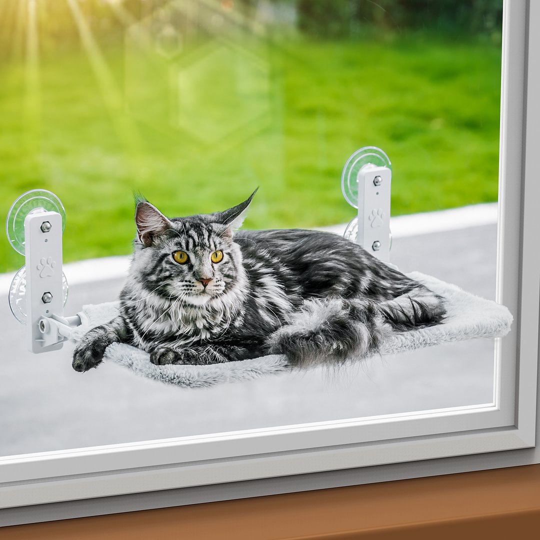 Mewoofun Cat Window Seats Mewoofun mewoofun