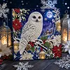 (20x20cm)Owl DIY Pearl Painting Art Kits With Inner Frame Pearl Gem Paintings Picture Arts Craft for Adults Beginners Home Wall Decor