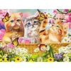 Best lowest diamond painting - Coodeals diamond painting