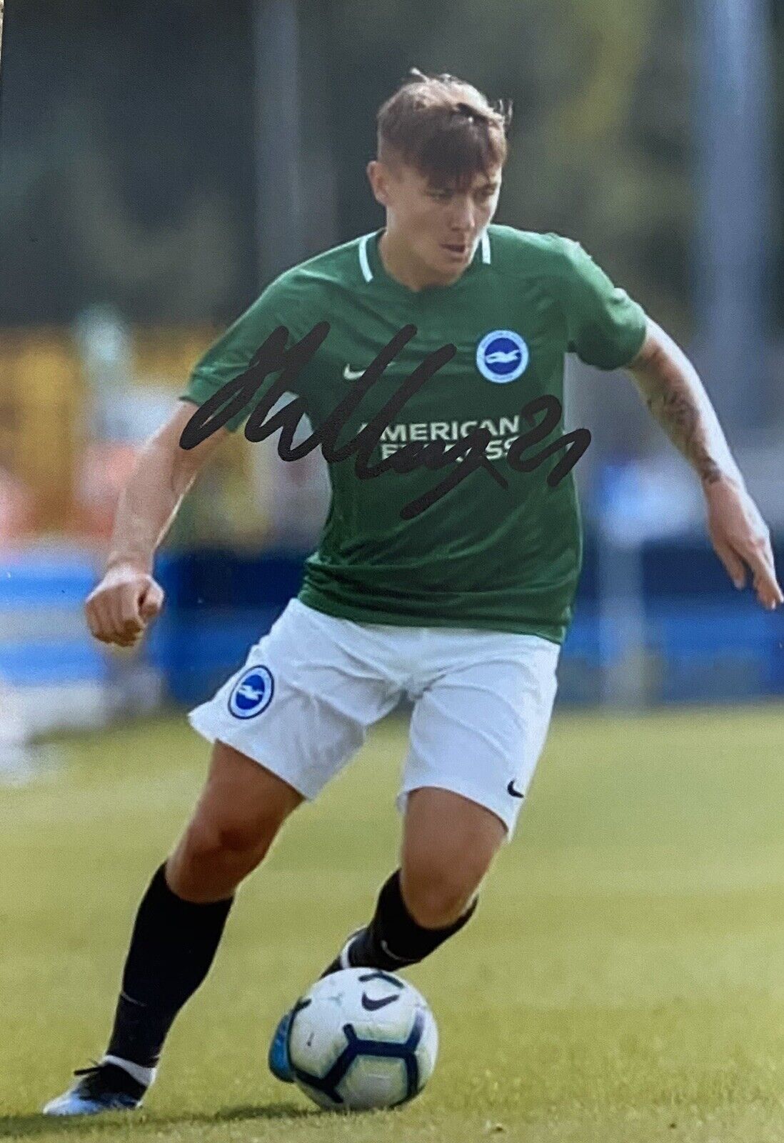 James Tilley Genuine Hand Signed Brighton & Hove Albion 6X4 Photo Poster painting 2