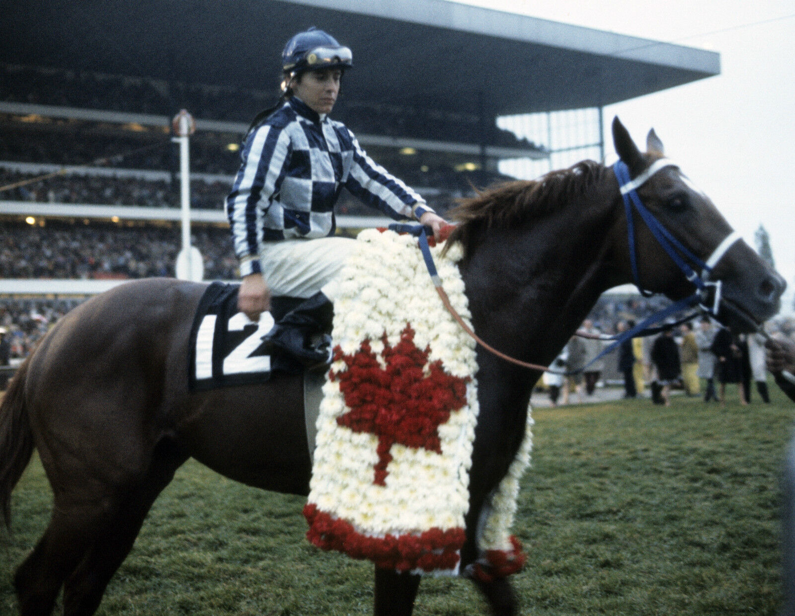 1973 Eddie Maple SECRETARIAT Canadian International Horse Racing 8x10 Photo Poster painting