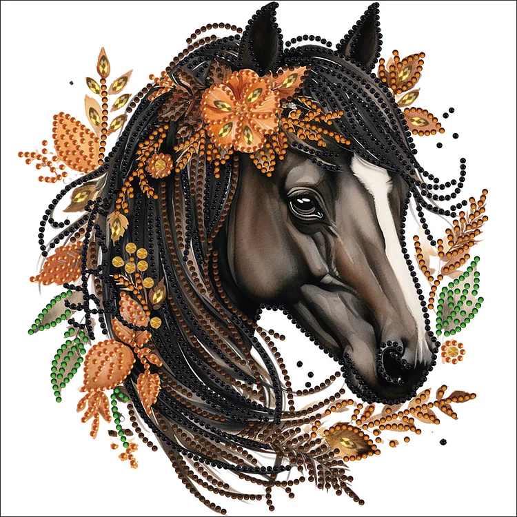 Long Hair Horse 30*30CM (Canvas) Special Drill Diamond Painting gbfke