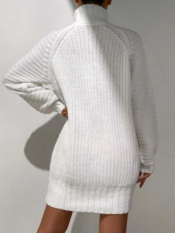Turtleneck Raglan Sleeve Jumper Dress Without Belt