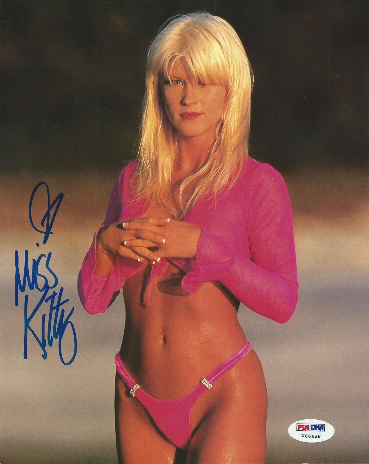 Stacy Carter Miss Kitty The Kat WWE Signed 8x10 Photo Poster painting PSA/DNA COA Picture Auto 5