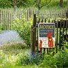 Chicken - Vintage Metal Signs - 20*30cm/30*40cm - Warning&Farm