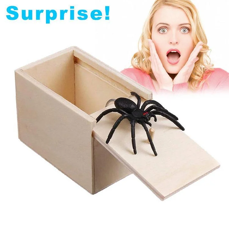 Surprising Box Spider Inside Wooden
